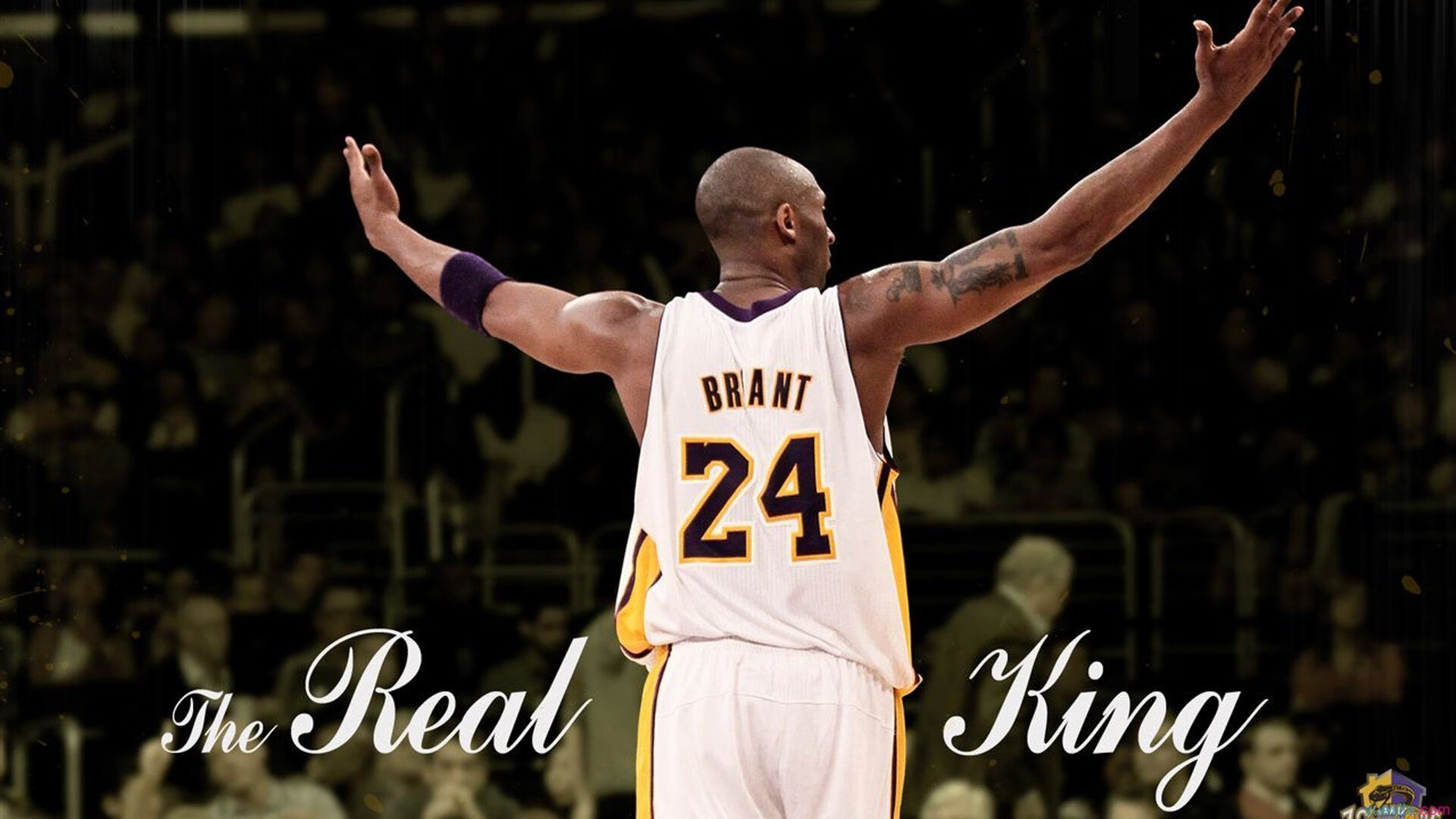 这一瞬间太疯狂，这一瞬间的作文